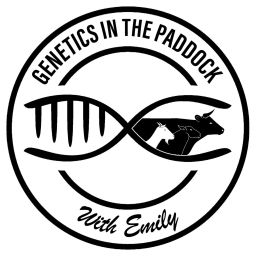 Podcast thumbnail for Genetics in the Paddock with Emily