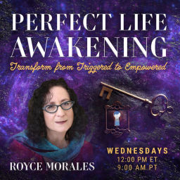 Podcast thumbnail for Perfect Life Awakening