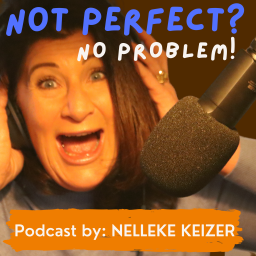 Podcast thumbnail for Not Perfect No Problem!