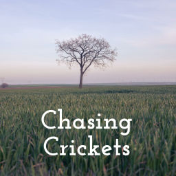 Podcast thumbnail for Chasing Crickets