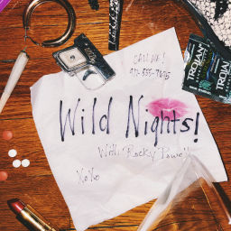 Podcast thumbnail for Wild Nights with Rocky Powell