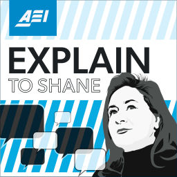 Podcast thumbnail for Explain to Shane