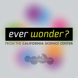 Podcast thumbnail for Ever Wonder? from the California Science Center