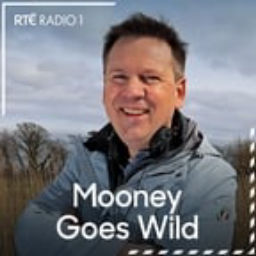 Podcast thumbnail for Mooney Goes Wild