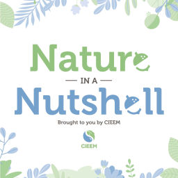Podcast thumbnail for Nature In A Nutshell