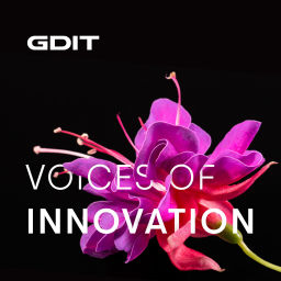Podcast thumbnail for Voices of Innovation