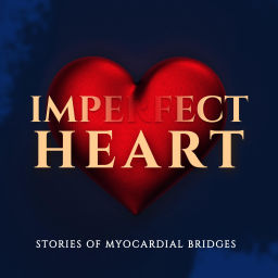 Podcast thumbnail for Imperfect Heart
