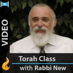 Podcast thumbnail for Commentaries on the Torah