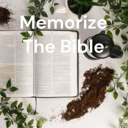 Podcast thumbnail for Memorize The Bible