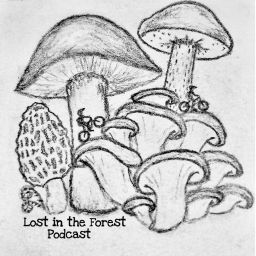 Podcast thumbnail for Lost In The Forest
