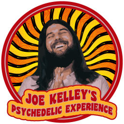 Podcast thumbnail for Joe Kelley's Psychedelic Experience