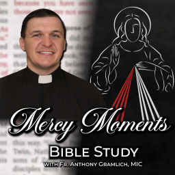 Podcast thumbnail for Mercy Moments Bible Study