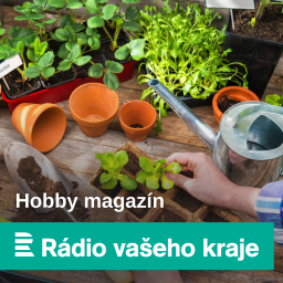 Podcast thumbnail for Hobby magazín