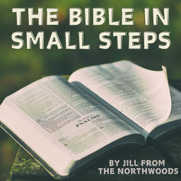 Podcast thumbnail for The Bible in Small Steps
