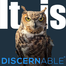Podcast thumbnail for It is Discernable®