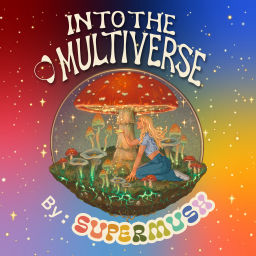 Podcast thumbnail for Into The Multiverse Podcast