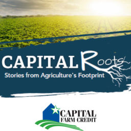Podcast thumbnail for Capital Roots: Stories from Agriculture's Footprint