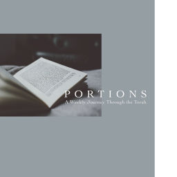 Podcast thumbnail for PORTIONS - A TFI Podcast