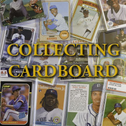 Podcast thumbnail for Collecting Cardboard