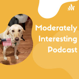 Podcast thumbnail for A Moderately Interesting Podcast