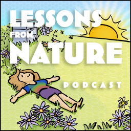 Podcast thumbnail for Lessons from Nature Podcast