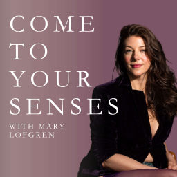 Podcast thumbnail for Come To Your Senses with Mary Lofgren