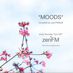 Podcast thumbnail for Moods by Lara Potthoff