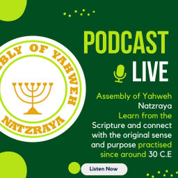 Podcast thumbnail for Assembly of Yahweh Natzraya