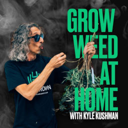 Podcast thumbnail for Grow Weed at Home with Kyle Kushman