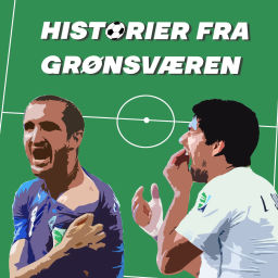 Podcast thumbnail for Historier Fra Grønsværen