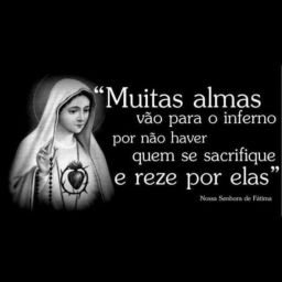 Podcast thumbnail for Homilia - Padre Fábio de Freitas Guimarães