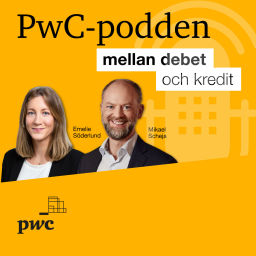 Podcast thumbnail for PwC-podden "Mellan debet och kredit"