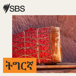 Podcast thumbnail for SBS Tigrinya - ኤስ.ቢ.ኤስ ትግርኛ