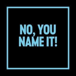 Podcast thumbnail for NO, You name it!