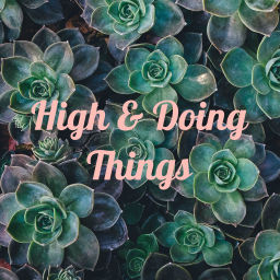 Podcast thumbnail for High &amp; Doing Things