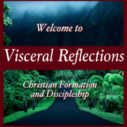 Podcast thumbnail for Visceral Reflections