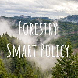 Podcast thumbnail for Forestry Smart Policy