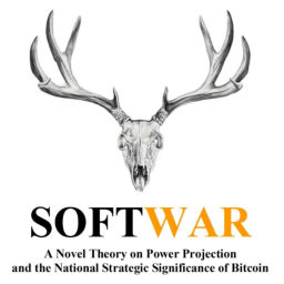 Podcast thumbnail for SOFTWAR Audiobook