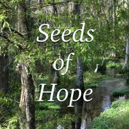 Podcast thumbnail for Seeds of Hope: Talks and Homilies by Fr. Mike Muhr