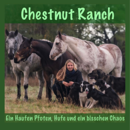 Podcast thumbnail for Chestnut Ranch - Ein Haufen Pfoten, Hufe und ein bisschen Chaos
