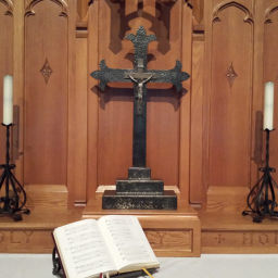 Podcast thumbnail for Sermons and More from St. Peter's Lutheran Church, Forestville, WI